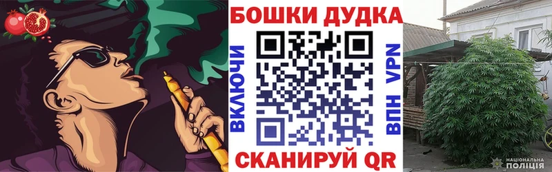 Канабис SATIVA & INDICA  Рошаль 